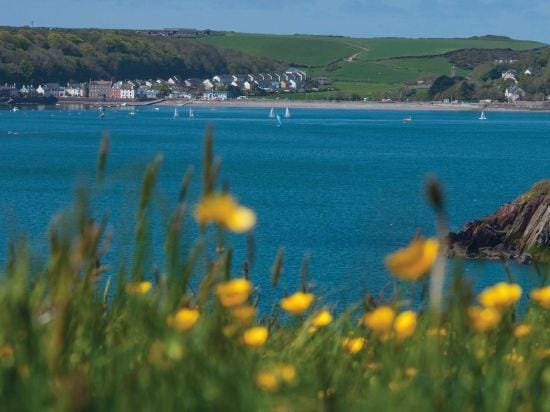 Brynach - 1 Bedroom - St Ishmael's Hotel in Marloes and St. Brides