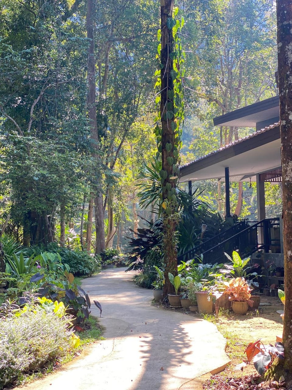 Khao Sok Nature Resort Resort in Khlong Sok