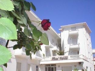 Hotel Vienna Hotel in Bellaria - Igea Marina