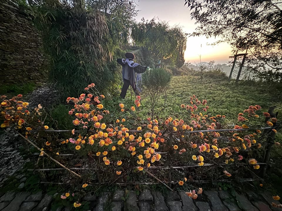 The Oak Trails Eco Lodge Lodge in Uttarakhand