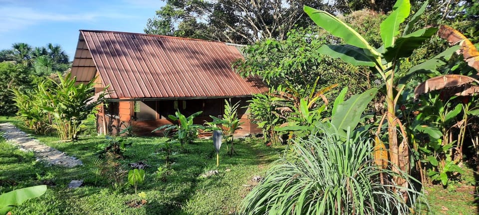Kayak Hostel Ecuador Hotel in Napo, Ecuador