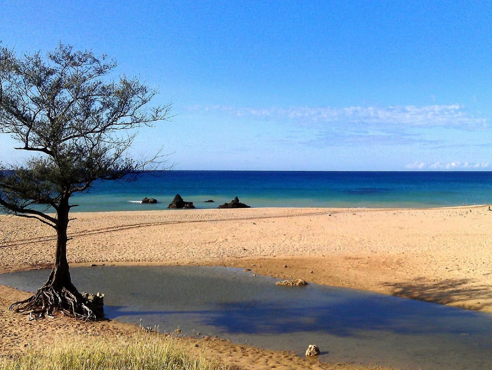 Surrounding environment