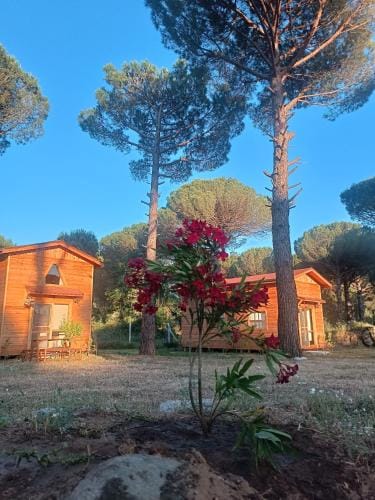 Badece Farm Yellow House Lodge in İzmir Province