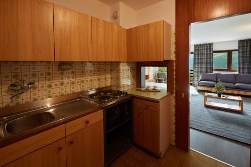 BASE CAMP alpine apartments Hotel in Breuil-Cervinia