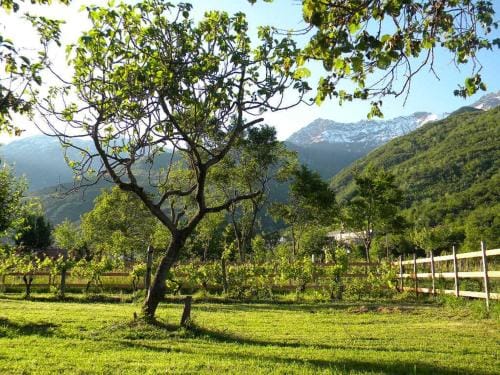B&B Autin Hotel in Piedmont