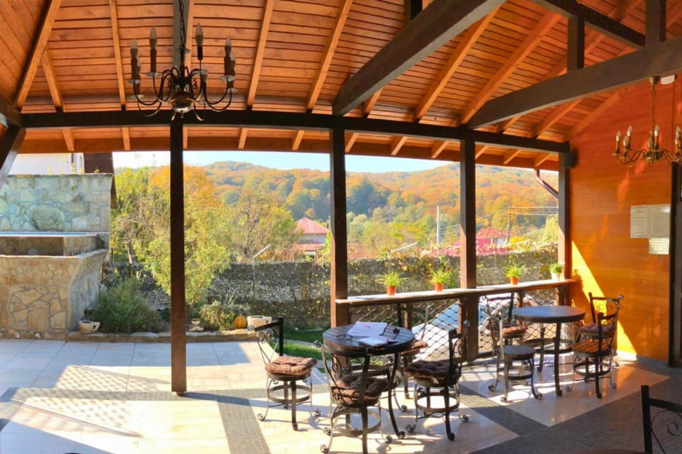Felix Pension Hotel in Romania