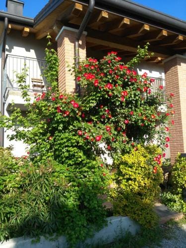 B&B Marostica Hotel in Trentino-South Tyrol