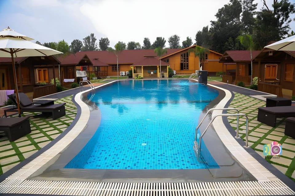 Swimming pool [outdoor]