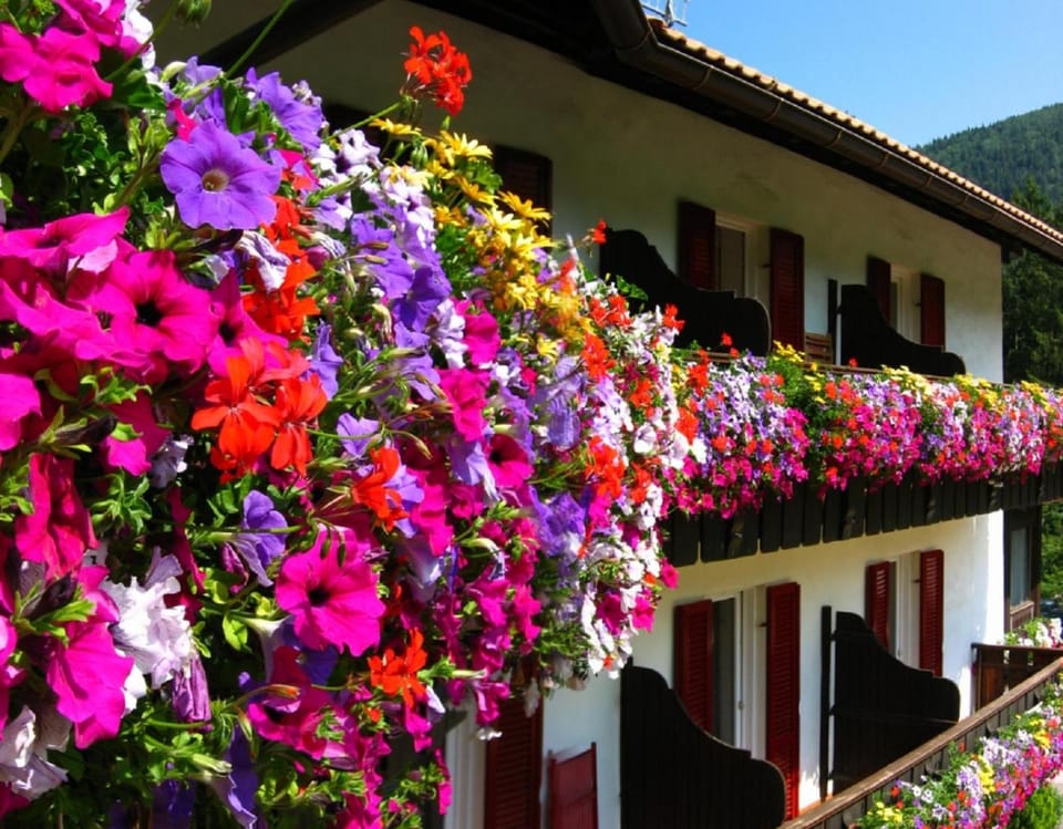 Hotel Pausa Hotel in Trentino-South Tyrol