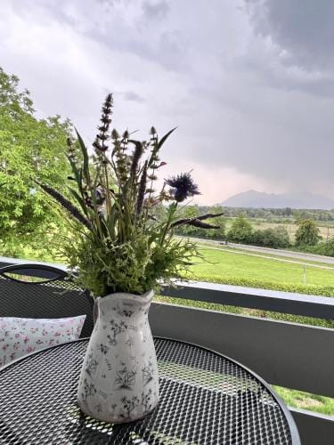 Haus Chiemseeblick Hotel in Salzburgerland