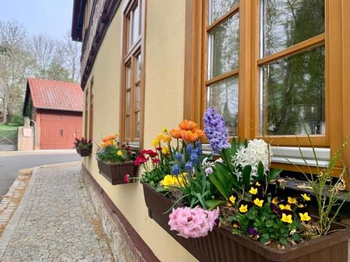 Landhotel Ruhepol - garni Hotel in Thuringia, Germany