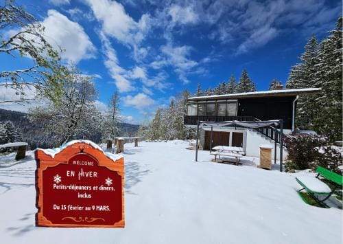 Chalet Perle des Hauts Hotel in Gérardmer