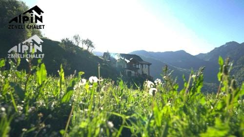 Alpin Zeneli Chalet Hotel in Montenegro