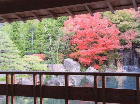 WholeHouse　Himeji Hotel in Hyogo Prefecture