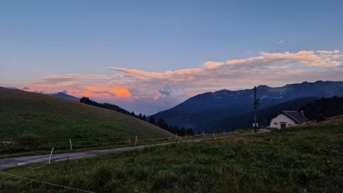 Malga Arpaco- camere e ristorante Hotel in Trentino-South Tyrol