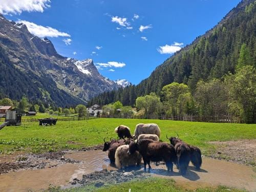 Permadieshof Hostel in Trentino-South Tyrol