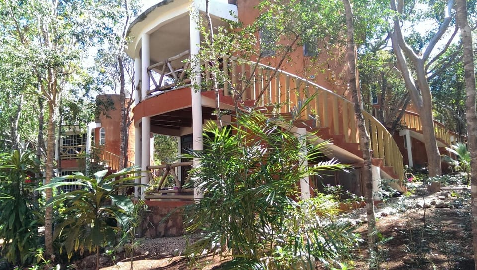 Eco-Hotel Nueva Altia Lodge in State of Yucatan