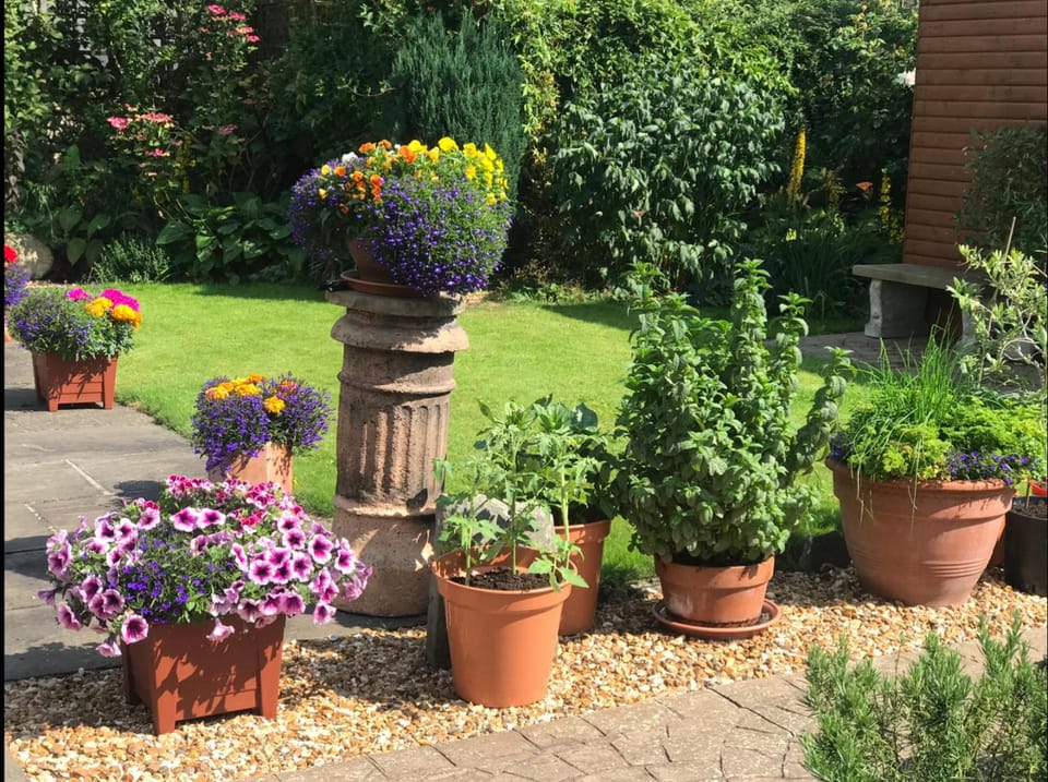 17 Burgate Hotel in England