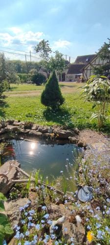 les Lys Jolie suite parentale privative deux adultes avec sdd Hotel in Normandy