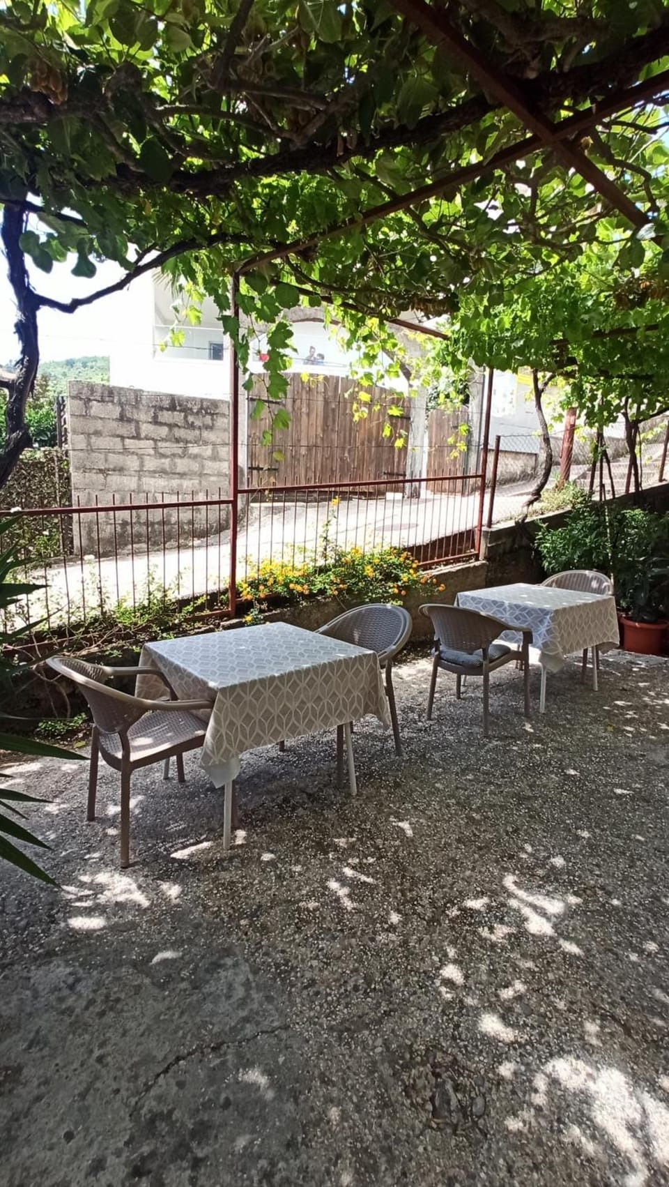 Guest house Rade Z Hotel in Budva
