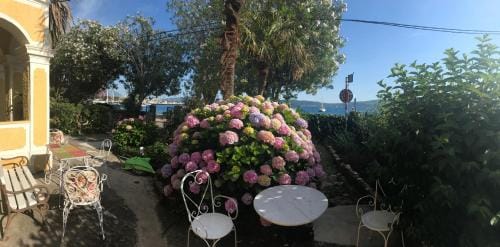 House Grabic Hotel in Kotor Municipality