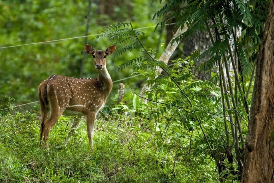 Surrounding environment