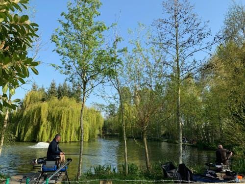 Weston glamping pod Lodge in Oswestry