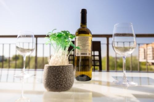The House Room AEROPORTO FIUMICINO Hotel in Lazio