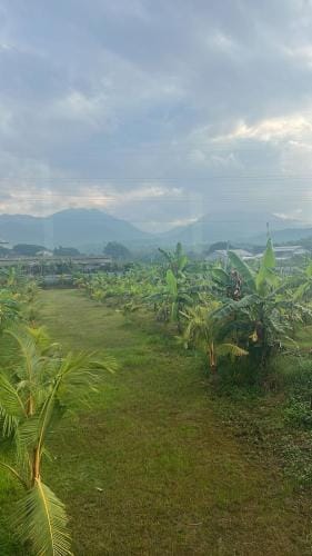 KUBU BLACK HOUSE Hotel in Bali