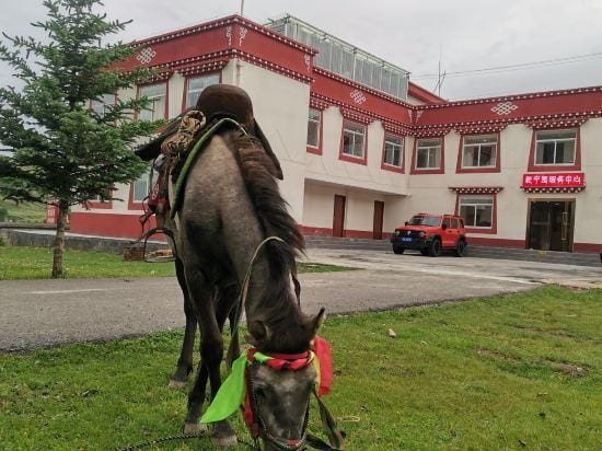 Qianning Manor Hotel in Sichuan