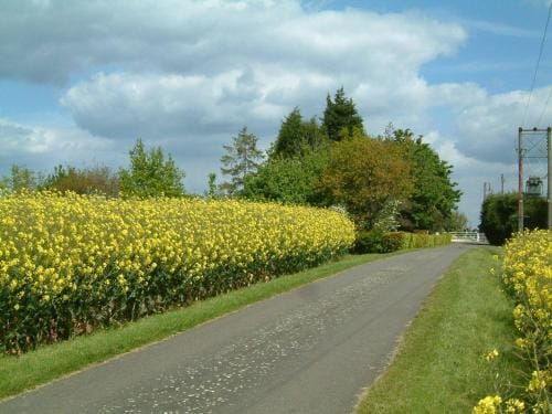Highfield Farm Hotel in England
