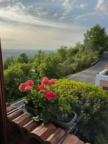 Podere Boschetto R&B Hotel in Bologna