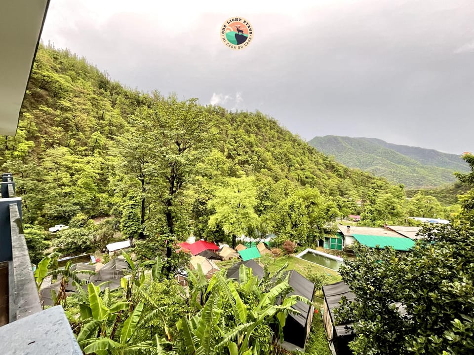 View