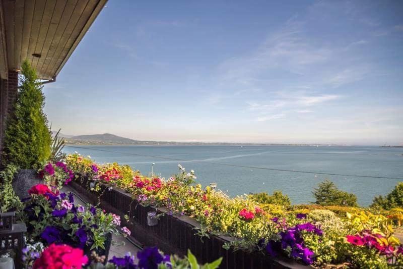 Wildwood Lodge Hotel in Louth, Co. Louth, Ireland