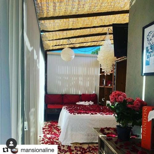 Mansion Aline Hotel in Santa Teresa