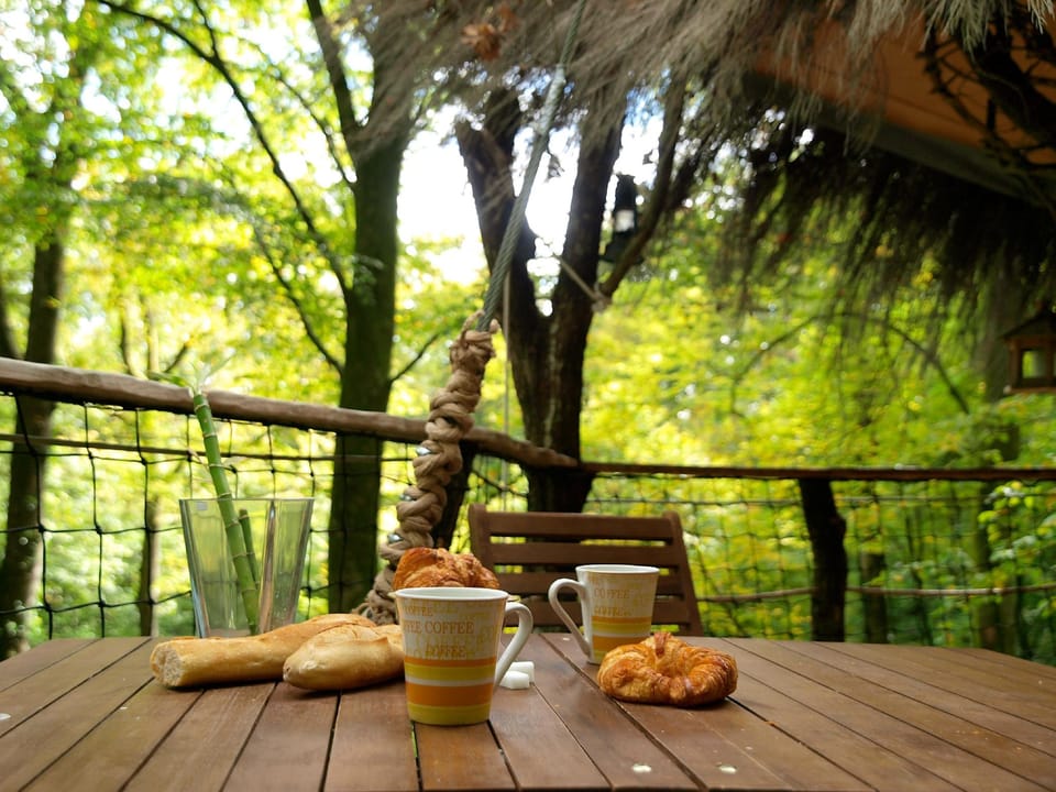 L Arbre à Cabane Hotel in Vosges