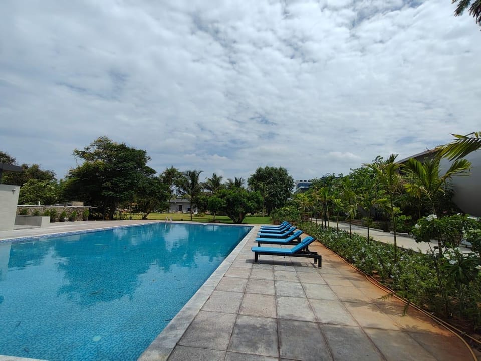 Swimming pool [outdoor]