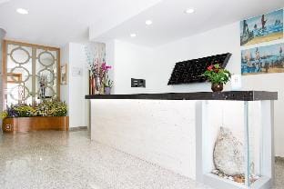 Hotel Saint Tropez Hotel in Pineto
