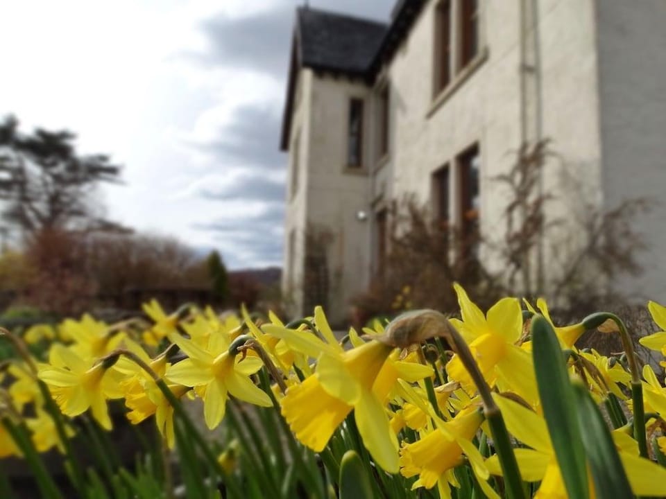 Kilchoan House Hotel Hotel in Scotland