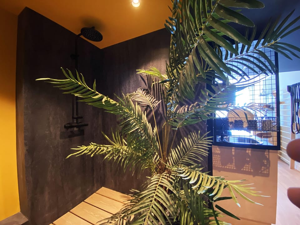Cowool Avignon Hotel in Avignon