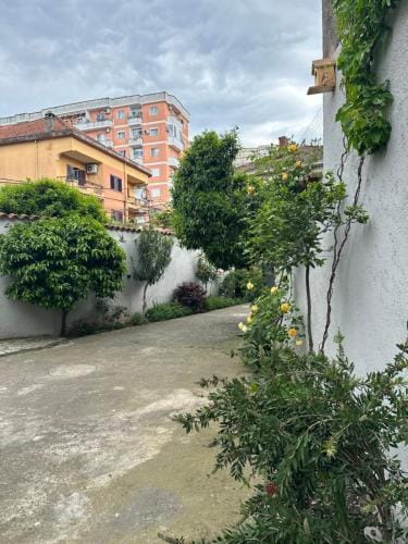 Birds Hostel Hostel in Montenegro