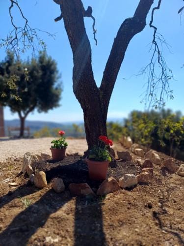 Il Doganiere Hotel in Umbria