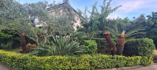 Le Sale Resort Hotel in Caserta
