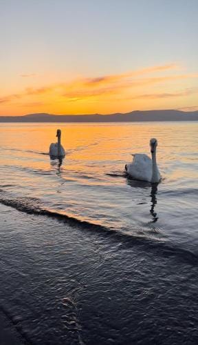 EQUIFLY naturalhouse alloggio turistico Hotel in Lazio