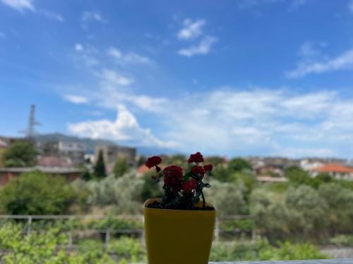 Prela's Rooms Hotel in Montenegro