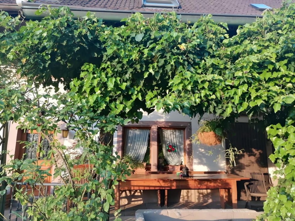 Double Room Linden Blossom Hotel in Ortenau