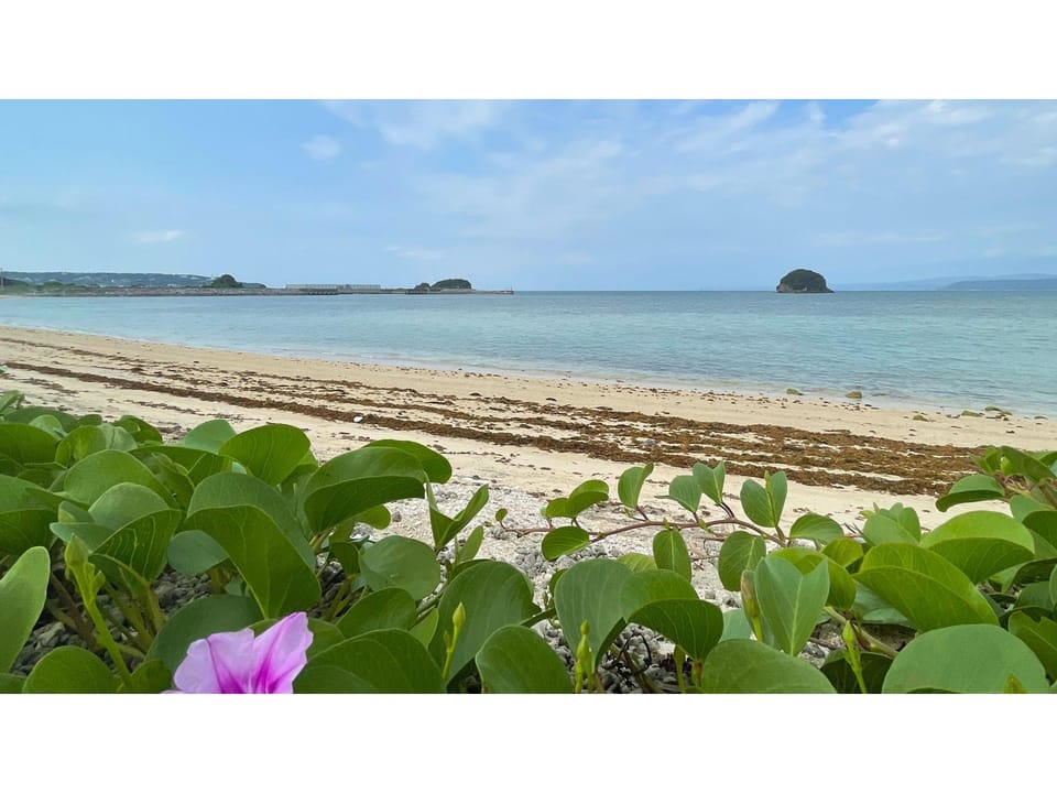 A place to relax now Hotel in Okinawa Prefecture