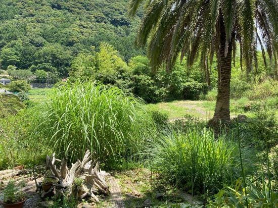 Quinta Garden Hotel in Shizuoka Prefecture