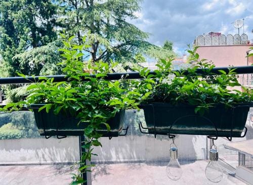 M Boutique Suite Hotel in Abruzzo