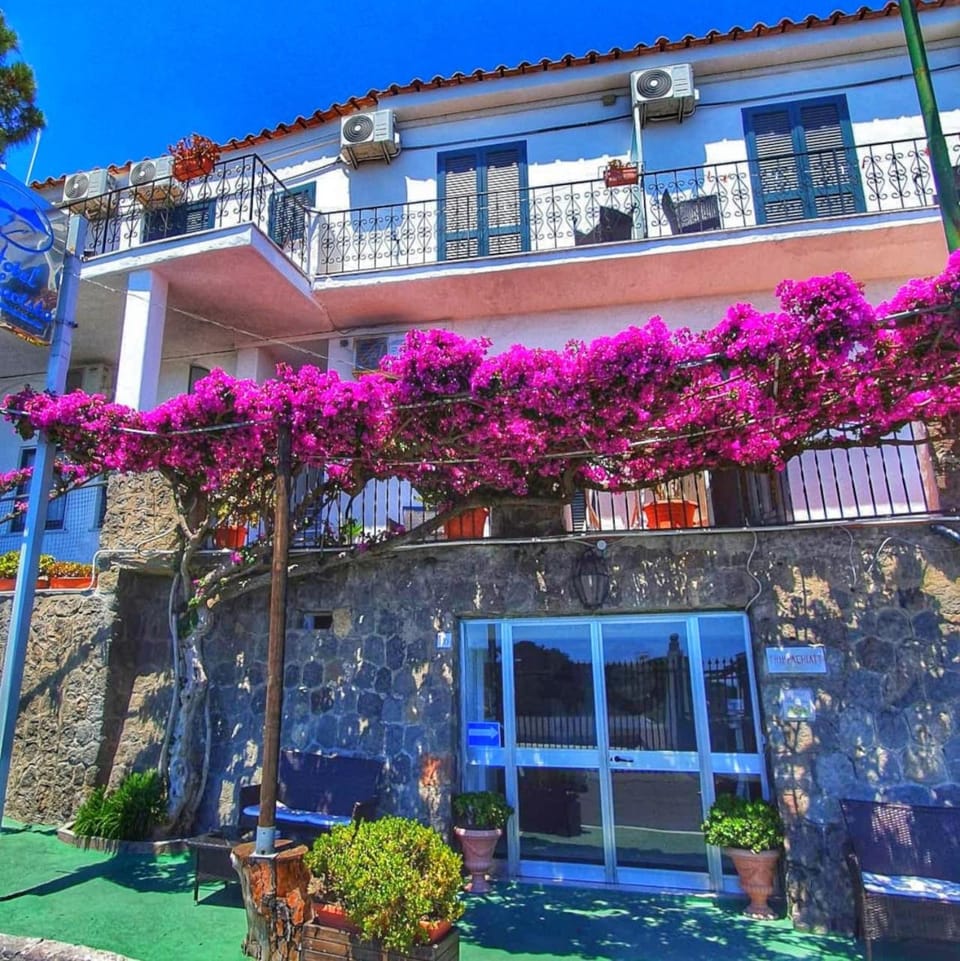 Hotel Bellavista Hotel in Forio